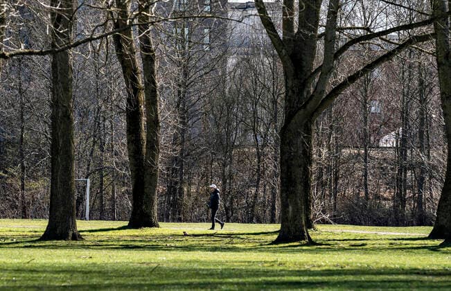 En gaaende i en park ved havnefronten i Aalborg, loerdag den 21. marts 2020. Langs hele havnen i Aalborg var der god afstand mellem de mange folk der var ude og nyde vejret. Paa grund af COVID-19 er befolkningen blevet bedt om saa vidt muligt at holde sig indendoers og udendoers aktiviteter i det flotte foraarsvejr skal foregaa med god afstand.. , Aalborg Jylland Denmark Copyright: HenningxBagger HenningxBaggerx COP110 spdk20200321-125839-L