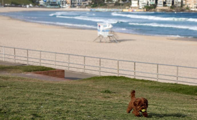 (200321) -- SYDNEY, March 21, 2020 -- Photo taken on March 21, 2020 shows the empty Bondi Beach in Sydney, Australia. Australia s iconic Bondi Beach was closed after hundreds of beachgoers crowded on the sand on Friday ignoring the ongoing social distancing guidelines. Police Minister of the State of New South Wales David Elliott ordered the beach in Sydney to be shut down on Saturday afternoon. There have been 874 confirmed cases of COVID-19 in Australia as of 6:30 a.m. local time Saturday, among which there are 382 in the State of New South Wales. Seven people have died from the disease. ) AUSTRALIA-SYDNEY-COVID-19-BONDI BEACH-CLOSE BaixXuefei 