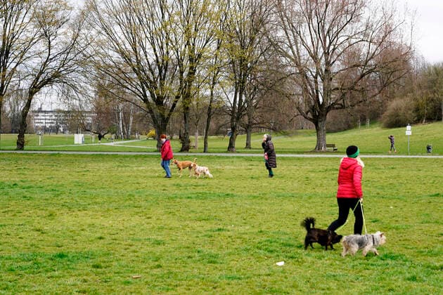 Corona-Virus Pandemie, bfischu, HMB Media Schumacher, 21.03.20, Nuernberg, Germany Volkspark Marienberg, Leute gehen gassi, Hund Copyright: HMBxMedia Schumacher