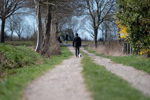 Bünde, Deutschland 22.03.2020: Feature Gesellschaft Spaziergänger gehen mit ihrem Hund Gassi, spazieren. , Lippinghausen Deutschland