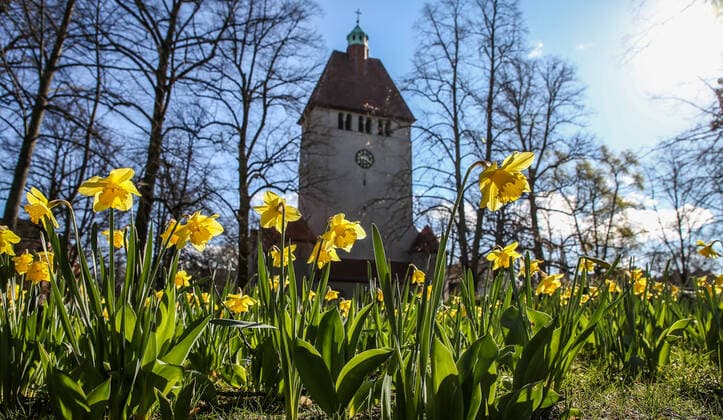 Fruehlingsanfang Berlin, 22.03.2020, Dorfkirche Alt-Tegel. Erste Ostergloeckchen laeuten den Fruehling bei strahlendem Sonnenschein ein. Berlin Berlin Deutschland Alt-Tegel