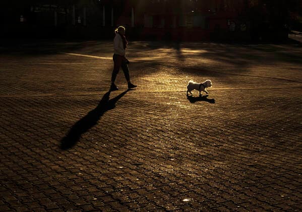Eine Frau geht mit ihrem Hund Gassi am 22.03.2020 auf dem Domplatz in Erfurt. search: Deutschland Thueringen Aussenaufnahme Tourismus Rueckgang ausbleiben ausbleibend Sehenswuerdigkeit Sehenswuerdigkeiten Tourismuskrise Stadt Stadtansicht Umsatzausfall Umsatzausfaelle schliessen geschlossen Schliessung Pleite Umsaetze Umsatzrueckgang Ueberleben laufende Kosten Miete ausbleibende Einnahmen Leere leer flaute Soziales Sozial Gesundheit Krise Coronakrise Krankheit Uebertragung uebertragen sozial soziale Kontakt Kontakte Infektion Schmierinfektion infizieren anstecken Ansteckung minimieren Ansteckungsgefahr sperren gesperrt Sicherung Sicherheit Anordnung Ansteckung Ausgangssperre Behoerden COVID-19 Corona Coronavirus Virus Covid Covid-19 Covid19 Covid 19 Coronaepidemie Epedemie Pandemie Coronainfektion Coronapandemie Coronavirus Outbreak A