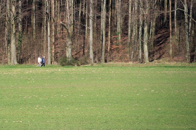 Lippinghausen, Deutschland 23.03.2020: Feature Natur Spaziergänger gehen an einem Waldgebiet spazieren. , Lippinghausen Deutschland