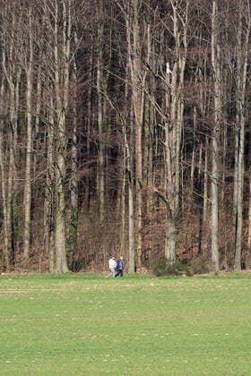 Lippinghausen, Deutschland 23.03.2020: Feature Natur Spaziergänger gehen an einem Waldgebiet spazieren. , Lippinghausen Deutschland