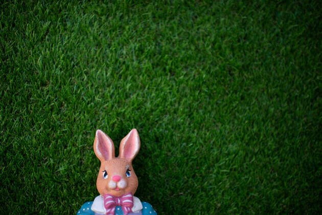 Deutschland 23.03.2020: Feature Ostern Ein Osterhase , Deutschland