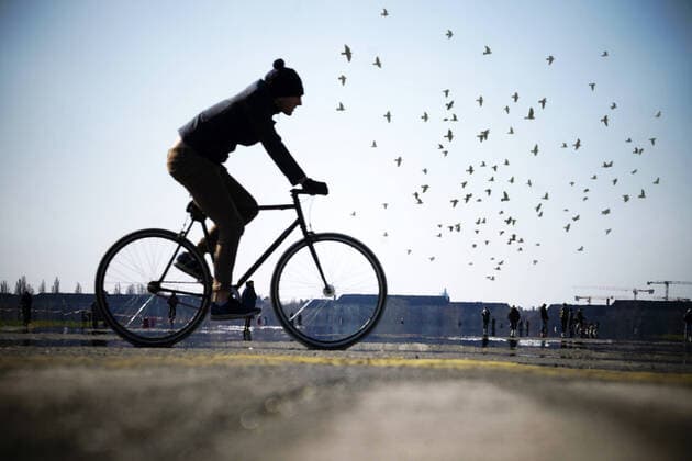 23.03.2020,Berlin,Deutschland,GER,Tempelhofer Feld, ein Fahrradfahrer, zahlreiche Vögel, Achtung! COMPOSEE!!!
