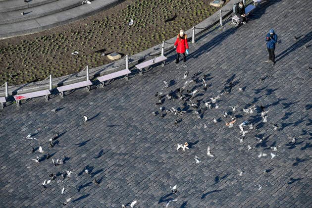 Dog scatters pigeons in the deserted Old Town Square in Prague, Czech Republic, March 23, 2020. (CTKxPhoto VitxSimanek) CTKPhotoP202003230846901 VIS 007