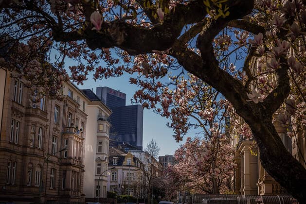 Der Mariott Turm vom Frankfurter Westend aus gesehen Frankfurt zu Zeiten der Rushhour