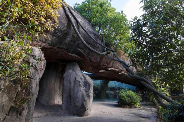 March 23, 2020, Seattle, Washington, U.S: The jaguar enclosure is deserted at SeattleÃ¢â‚¬â ¢s Woodland Park Zoo on March 23, 2020. The park temporarily closed to the public on March 12, 2020 following the directive of state health and government officials as a measure to help slow the spread of the novel coronavirus in the community. Seattle U.S. - ZUMAg235 20200323_zap_g235_017 Copyright: xPaulxChristianxGordonx
