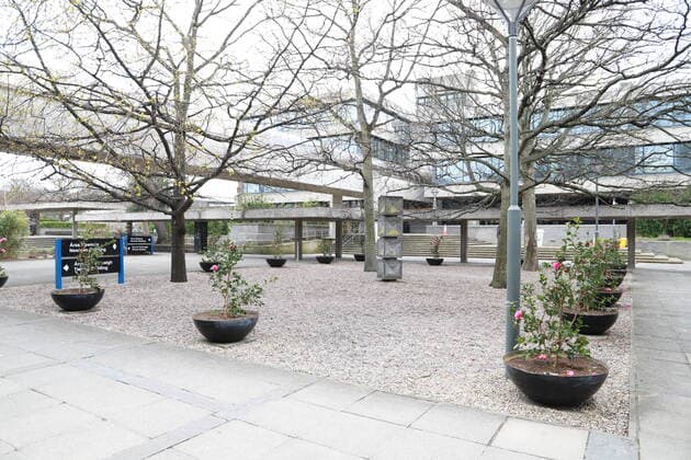 (200324) -- DUBLIN, March 24, 2020 (Xinhua) -- Photo taken on March 23, 2020 shows a view of the shutdown campus of University College Dublin in Dublin, Ireland. Two more COVID-19 patients died while another 219 new coronavirus cases were confirmed in Ireland on Monday, the country s Department of Health said in a statement. To date, there have been a total of 1,125 confirmed cases of COVID-19 and six COVID-19-related deaths in the country, said the statement, adding that the latest two victims of the disease are both male from the east of Ireland. (Xinhua) IRELAND-DUBLIN-COVID-19-CONFIRMED CASES 