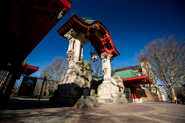 Geschlossener Zoo in Berlin am 24. Maerz 2020. Um die Verbreitung des Coronavirus (COVID-19) zu verlangsamen beschlossen Bund und Laender weitere Restriktionen. Nachdem Museen, Theatern, Sportveranstaltungen usw verboten wurden sind ab gestern Versammlungen mit mehr als zwei Personen in der Oeffentlichkeit grundsaetzlich verboten. Restaurants koennen zum Beispiel nur nich Abholung anbieten. Die Menschen scheinen diese Massnahmen zu folgen, da die Stadt menschenleer ist. Oeffentliches Leber weiter in Berlin wegen Coronavirus eingeschraenkt