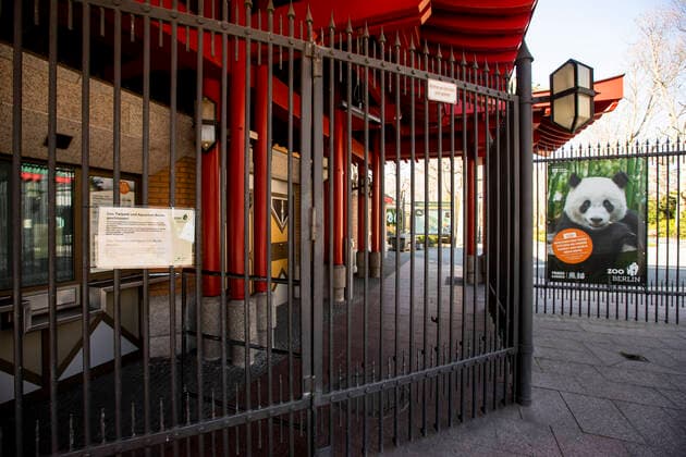 Geschlossener Zoo in Berlin am 24. Maerz 2020. Um die Verbreitung des Coronavirus (COVID-19) zu verlangsamen beschlossen Bund und Laender weitere Restriktionen. Nachdem Museen, Theatern, Sportveranstaltungen usw verboten wurden sind ab gestern Versammlungen mit mehr als zwei Personen in der Oeffentlichkeit grundsaetzlich verboten. Restaurants koennen zum Beispiel nur nich Abholung anbieten. Die Menschen scheinen diese Massnahmen zu folgen, da die Stadt menschenleer ist. Oeffentliches Leber weiter in Berlin wegen Coronavirus eingeschraenkt