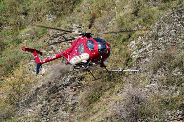 Spritzhubschrauber im Einsatz 25.03.2020, Rheinland-Pfalz, Kobern-Gondorf: Ein Spritzhubschrauber überfliegt die Weinreben nahe des Moselortes Kobern-Gondorf (Landkreis Mayen-Koblenz). Die Weinreben werden aus der Luft dabei mit Fungiziden besprühen.