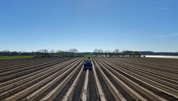 Traktor auf Spargelfeld in Köln-Merkenich.