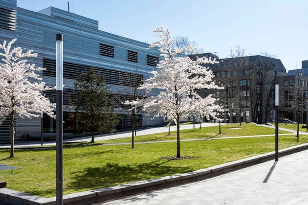 Allgemeine Schutzmaßnahmen zur Bekämpfung der Coronavirus Pandemie, die Hochschule Düsseldorf HSD hat deswegen geschlossen, der Campus leer und verlassen, nur die Baumblüte stimmt auf den nahenden Frühling ein
