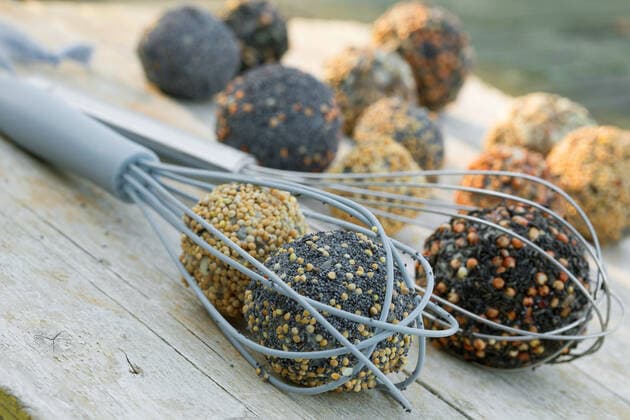 IMAGO Nature: Unsere Erde, Umweltverträgliche Herausforderungen, Recycling selbstgemachte Meisenknoedel werden in einem Schneebesen angeboten, Deutschland self-made bird fat balls in wire whiks, Germany BLWS611594 Copyright: xblickwinkel F.xHeckerx