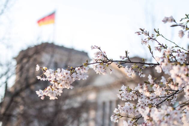 Coronavirus, Eindrücke aus Berlin Deutschland, Berlin - 25.03.2020: Im Bild sind Blüten und im Hintergrund der Bundestag zu sehen. Berlin Berlin Deutschland