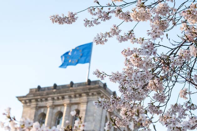 Coronavirus, Eindrücke aus Berlin Deutschland, Berlin - 25.03.2020: Im Bild sind Blüten und im Hintergrund der Bundestag zu sehen. Berlin Berlin Deutschland