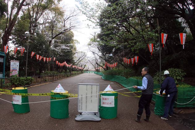 March 28, 2020, Tokyo, Japan - Workers fix a rope and keep out sign as a cherry blossom viewing road is closed at Tokyo s Ueno park on Saturday, March 28, 2020. Tokyo governor Yuriko Koike requested people to stay at home over the weekend for outbreak of new coronavirus.  (124828072)