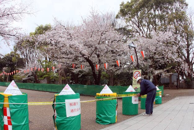 March 28, 2020, Tokyo, Japan - A worker fixes a rope and keep out sign as a cherry blossom viewing road is closed at Tokyo s Ueno park on Saturday, March 28, 2020. Tokyo governor Yuriko Koike requested people to stay at home over the weekend for outbreak of new coronavirus.  (124828126)