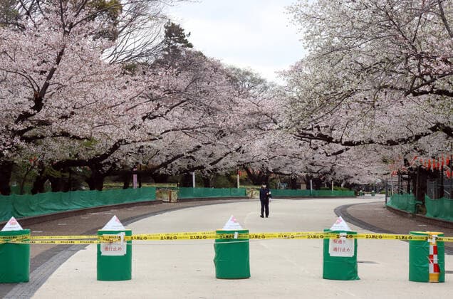 March 28, 2020, Tokyo, Japan - A security person patrols on a cherry blossom viewing road is closed at Tokyo s Ueno park on Saturday, March 28, 2020. Tokyo governor Yuriko Koike requested people to stay at home over the weekend for outbreak of new coronavirus.  (124828151)