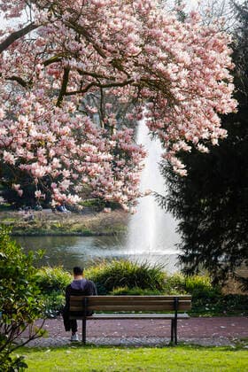 27.03.2020, Essen, Ruhrgebiet, Nordrhein-Westfalen, Deutschland - Freizeit im Stadtpark zu Zeiten der Coronakrise, ein junger Mann sitzt am See mit Springbrunnen. Essen Nordrhein-Westfalen Deutschland