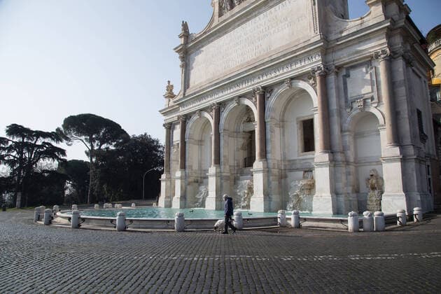 Rome: Ducks in Acqua Paola Fountain during Covid-19 During the quarantine for the Covid-19 pandemic this morning, Sunday 29 March 2020, two ducks appeared inside the tank of the famous Fontana dell Acqua Paola Roma Italy Copyright: MatteoxNardone