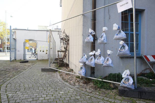 Gabenzaun im Kulturzentrum Feuerwache in Magdeburg Sachsen Anhalt, Bürger können in Zeiten der Corona Krise Beutel mit Nahrungsmittel spenden, die sich dann Bürger mitnehmen können die nicht so viel zur Verfügung haben