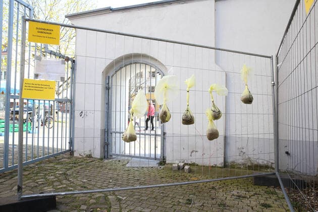Gabenzaun im Kulturzentrum Feuerwache in Magdeburg Sachsen Anhalt, Bürger können in Zeiten der Corona Krise Beutel mit Nahrungsmittel spenden, die sich dann Bürger mitnehmen können die nicht so viel zur Verfügung haben
