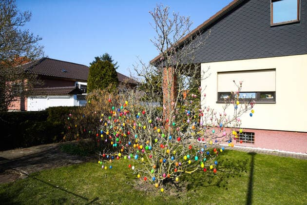 In Magdeburg Ottersleben haben Bewohner trotz der Corona Krise vor ihrem Haus ein Strauch mit Plastik Ostereier errichtet