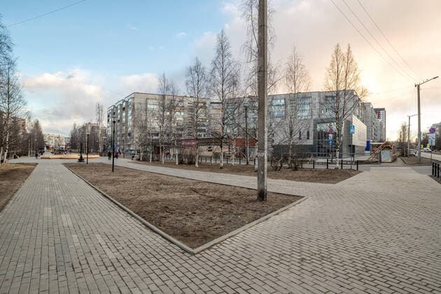 PETROZAVODSK, RUSSIA - MARCH 29, 2020: A birch alley in the Drevlyanka Neighborhood of the city of Petrozavodsk amid the COVID-19 coronavirus pandemic. A state of quarantine is declared in Petrozavodsk starting from March 29, 2020; public transport, stores are shut down, school holidays are prolonged and citizens are given a week-long vacation for self isolation. Ilya Timin TASS  TS0D3D45