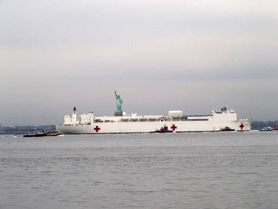 March 30, 2020, New York, New York, USA: The Hospital Ship USNS Comfort arrives in New York. USNS Comfort sail under the Verrazano Narrows bridge then proceeds to go past the Statue of Liberty to it s berth at pier 90 on the Westside of Manhattan New York USA - ZUMAct2_ 20200330_zaf_ct2_030 Copyright: xBrucexCotlerx
