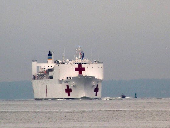 March 30, 2020, New York, New York, USA: The Hospital Ship USNS Comfort arrives in New York. USNS Comfort sail under the Verrazano Narrows bridge then proceeds to go past the Statue of Liberty to it s berth at pier 90 on the Westside of Manhattan New York USA - ZUMAct2_ 20200330_zaf_ct2_039 Copyright: xBrucexCotlerx