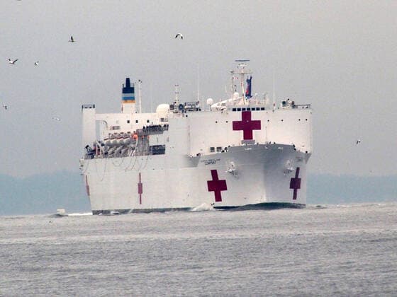 March 30, 2020, New York, New York, USA: The Hospital Ship USNS Comfort arrives in New York. USNS Comfort sail under the Verrazano Narrows bridge then proceeds to go past the Statue of Liberty to it s berth at pier 90 on the Westside of Manhattan New York USA - ZUMAct2_ 20200330_zaf_ct2_041 Copyright: xBrucexCotlerx