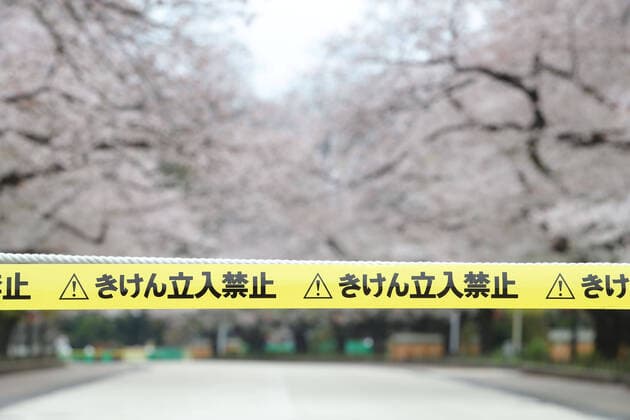 A street of cherry blossoms is closed as a safety precaution against the new coronavirus at Ueno Park in Tokyo, Japan on March 31, 2020.  (124903365)