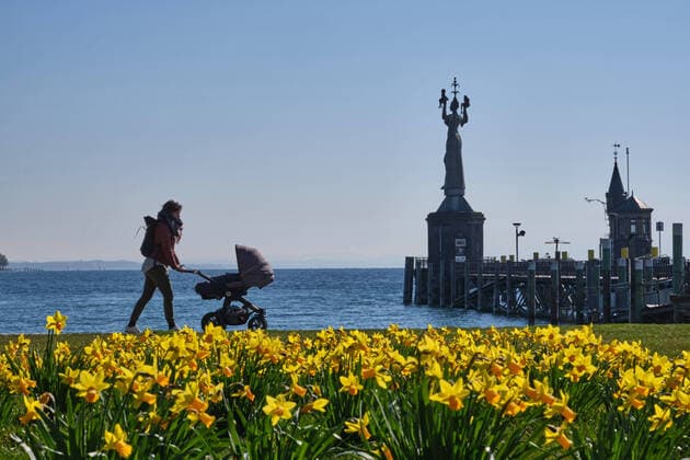 News Bilder des Tages Konstanz, Frau mit Kinderwagen im Frühling, Narzissen und Imperia
