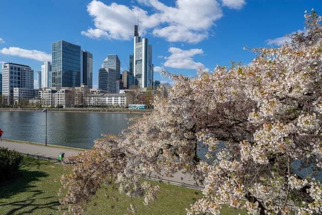 Deutschland - Frankfurt - 31.03.2020 in Zeiten von Corona Impressionen aus Frankfurt Frankfurter Skyline vom Schaumainkai aus und mit Kirschblüte Wirtschaft Impressionen aus Frankfurt am Main