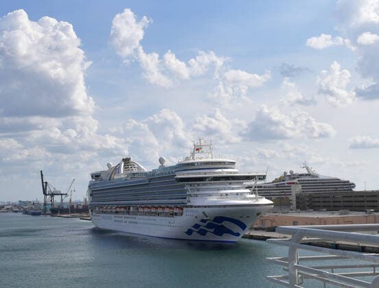 March 31, 2020, Fort Lauderdale, Florida, United States Of America: FORT LAUDERDALE, FL - MARCH 31: the Port Director for Port Everglades said he was caught completely blindsided today by Crown Princess arriving with crew needing medevac. He stated this violated federal law and that the CDC and USCG were not informed either. The Carnival rep stated that Princess contacted Broward Health directly, and another Broward Commissioner had the CEO of Broward Health on the phone contesting the veracity of that statement at Port Everglades dock. Crown Princess is a Crown-class cruise ship owned and operated by Princess Cruises. Her maiden voyage took place on June 14, 2006, departing Red Hook, Brooklyn for Grand Turk, Ocho Rios, Grand Cayman, and Port Canaveral on March 31, 2020 in Fort Lauderdale, Florida..People: Crown Princess Fort Lauderda - ZUMAn287 20200331_zaa_n287_013 Copyright: xSMGx