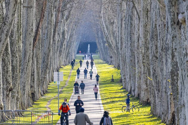 DEU, Deutschland, Baden-Württemberg, Stuttgart, 03.04.2020: Bei frühlingshaften Temperaturen bewegen sich viele Stuttgarter an der frischen Luft. Platanenallee im Unteren Schlossgarten.