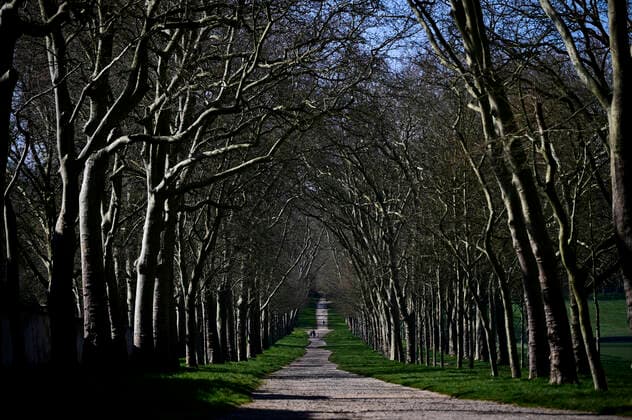 Place nette autour du Chateau de Versailles parcs et forets fermes par arrete prefectoral NEWS : COVID19 - Paris - 04 04 2020 JBAutissier Panoramic 