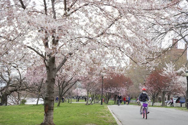 April 4, 2020, New York, New York, United States: Child practices physical activity using a protective mask at Hudson River Park in New York City in the United States this Saturday, 04. New York City is the epicenter of the Coronavirus pandemic New York United States - ZUMAv122 20200404_zap_v122_009 Copyright: xWilliamxVolcovx