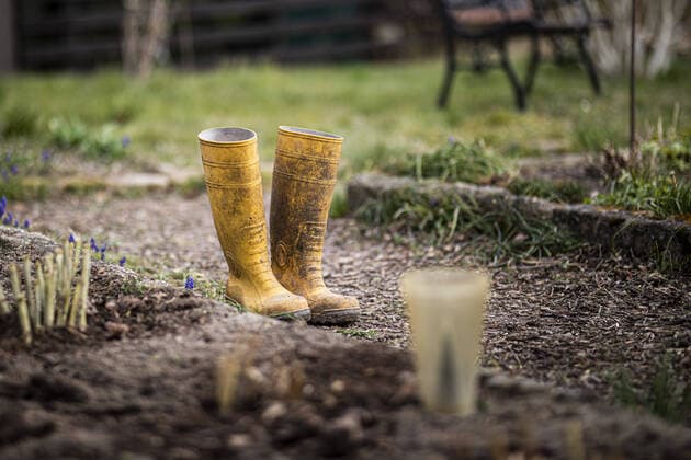 Symbolfoto zum Thema Gartenarbeit: Gummistiefel stehen in einem Garten in Melaune, 04.04.2020. Melaune Deutschland *** Symbol photo on the subject of gardening Rubber boots standing in a garden in Melaune, 04 04 2020 Melaune Germany Copyright: xFlorianxGaertner photothek.netx