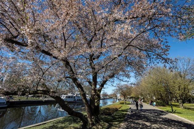 Wasserbahnhof Mülheim an der Ruhr, Spaziergänger genießen das Frühlingswochenende
