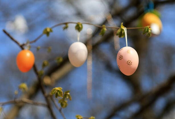 04.04.2020, Promenade an der Isar in Muenchen waehrend Ausgangbeschraenkung wegen Corona , im Bild: Ostern Eiern haengen an einen Baum an der Isar
