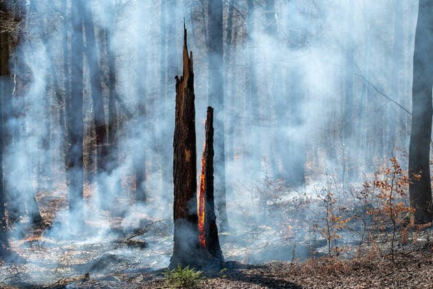 Waldbrandgefahr, 05.04.2020, im Rochlitzer Bergwald kommt es an einem Wanderweg zu einem kleinen Waldbrand. Auf einer Fläche von etwa einem Hektar brennt trockenes Laub und Holz. Rochlitz Sachsen Deutschland *** Forest fire hazard, 05 04 2020, a small forest fire occurs along a hiking trail in the Rochlitz mountain forest Dry leaves and wood burn on an area of about one hectare Rochlitz Saxony Germany