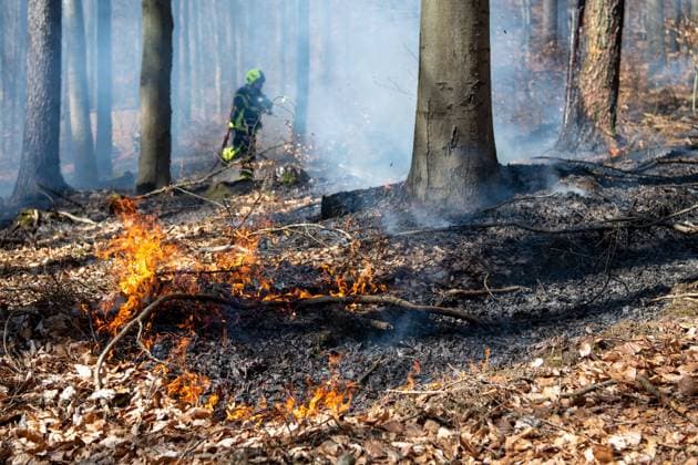 Waldbrandgefahr, 05.04.2020, im Rochlitzer Bergwald kommt es an einem Wanderweg zu einem kleinen Waldbrand. Auf einer Fläche von etwa einem Hektar brennt trockenes Laub und Holz. Rochlitz Sachsen Deutschland *** Forest fire hazard, 05 04 2020, a small forest fire occurs along a hiking trail in the Rochlitz mountain forest Dry leaves and wood burn on an area of about one hectare Rochlitz Saxony Germany
