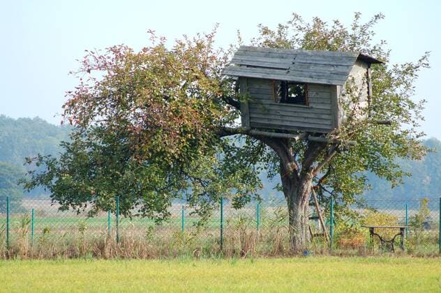 IMAGO Creative, Leben im Bamhaus Tree House Old tree house  Copyright: xajtx 47073