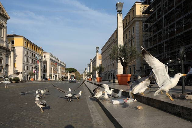 Italy: Rome at the end of 4th week of COVID-19 A view of some seagulls in a empty Via della Conciliazione in Rome at the end of fourth week of national lock down against the sprad of the new coronavirus dubbed COVID-19. Roma Italy Italy Copyright: Giuseppex Pino xFama