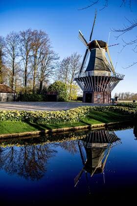 2020-04-06 09:22:38 LISSE - Bloemen in bloei bij leeg Keukenhof , de keukenhof gaat die jaar niet meer open ivm de coronacrisis . Helaas kan de Bloemententoonstelling Keukenhof door de maatregelen rondom het corona virus niet openen in 2020. Geannuleerd - Keukenhof 2020 - alleen virtueel geopend ROBIN UTRECHT covid-19 ,  Copyright: xx x409316372x