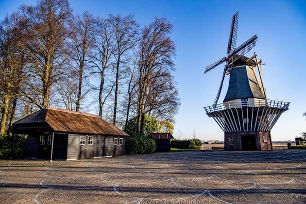 2020-04-06 09:23:41 LISSE - Bloemen in bloei bij leeg Keukenhof , de keukenhof gaat die jaar niet meer open ivm de coronacrisis . Helaas kan de Bloemententoonstelling Keukenhof door de maatregelen rondom het corona virus niet openen in 2020. Geannuleerd - Keukenhof 2020 - alleen virtueel geopend ROBIN UTRECHT covid-19 ,  Copyright: xx x409316399x